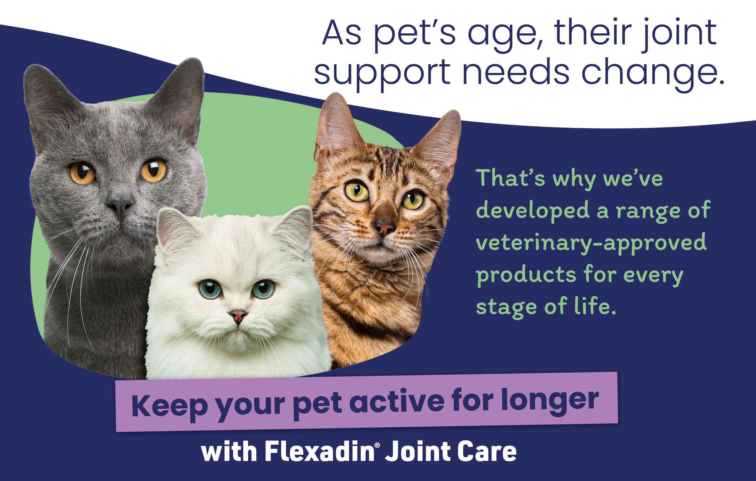 Flexadin-Homepage-Cat