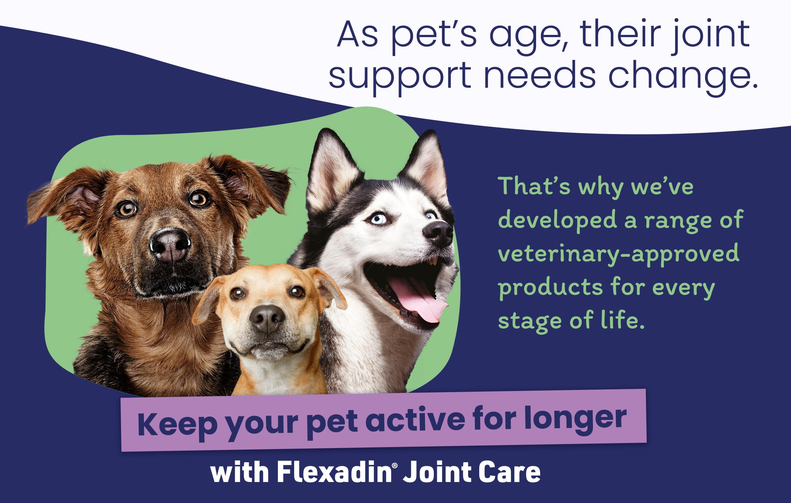 Flexadin-Homepage-Dog