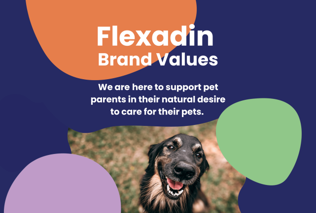 Flexadin-About-Us-Brand-Value
